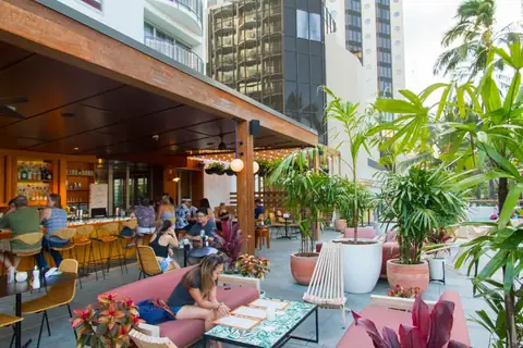 Exploring the Top 6 Must-Try Bars in Honolulu, Hawaii