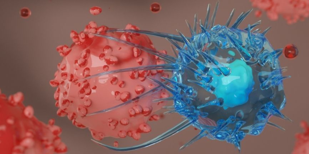 Arginine May Help Immune System Fight Cancer and Viruses, Study Finds