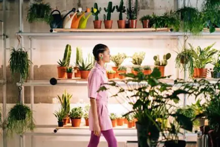 Massive Indoor Plants: Make Your House an Oasis
