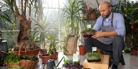 How to Start Urban Homesteading Without a Backyard