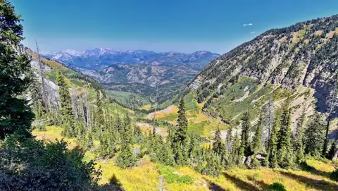 6 Breathtaking & Least-Explored Hikes in the U.S. National Forests