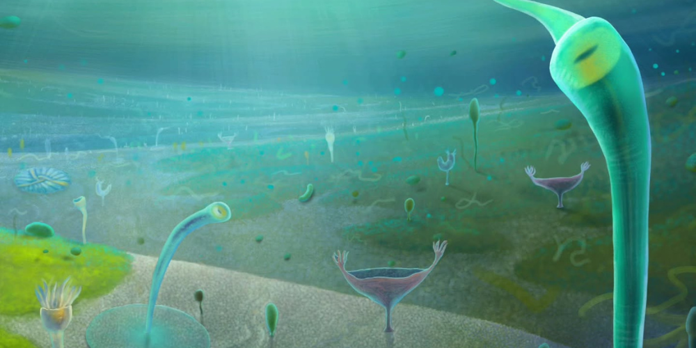 Scientists Discover Evidence of Complex Life Before the Cambrian Era