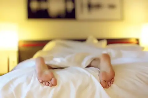 Facing A Bed Bug Infestation? Here’s What You Need To Do