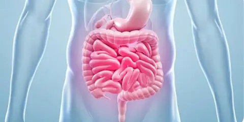 Is a $599 Gut Test Worth It? Discover What Your Stool Can Reveal