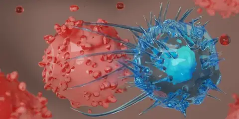 Arginine May Help Immune System Fight Cancer and Viruses, Study Finds